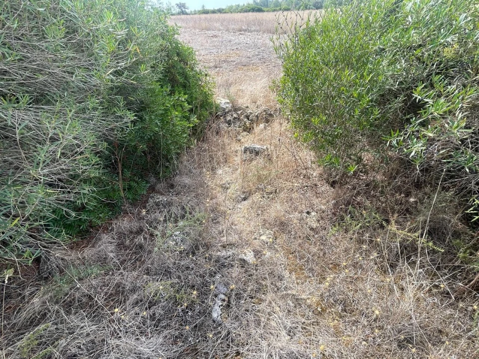 Terreno para Venda em Brogueira, Parceiros de Igreja e Alcorochel Foto 20