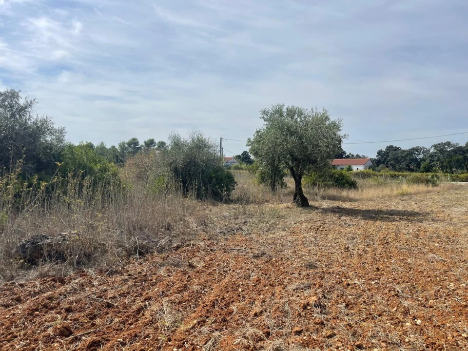 Terreno para Venda em Brogueira, Parceiros de Igreja e Alcorochel Foto 26