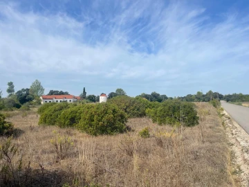 Terreno para Venda em Brogueira, Parceiros de Igreja e Alcorochel