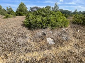 Terreno para Venda em Brogueira, Parceiros de Igreja e Alcorochel