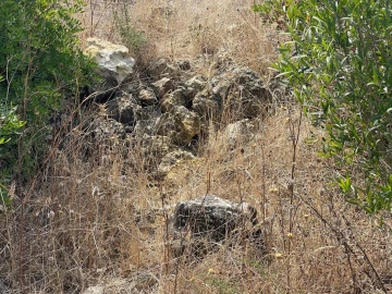 Terreno para Venda em Brogueira, Parceiros de Igreja e Alcorochel