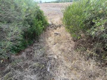Terreno para Venda em Brogueira, Parceiros de Igreja e Alcorochel