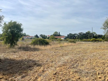 Terreno para Venda em Brogueira, Parceiros de Igreja e Alcorochel