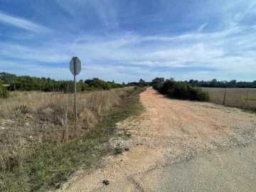 Terreno para Venda em Brogueira, Parceiros de Igreja e Alcorochel