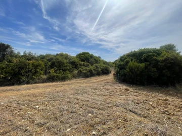 Terreno para Venda em Brogueira, Parceiros de Igreja e Alcorochel