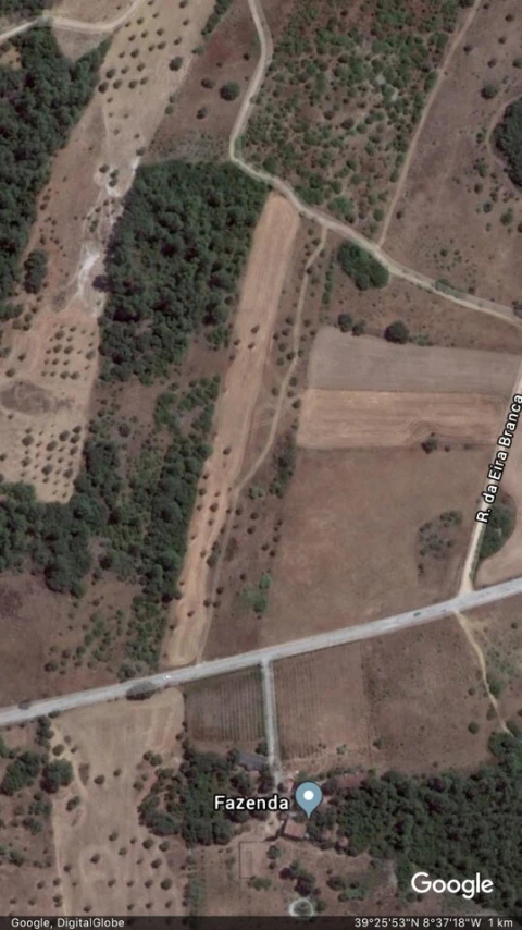 Terreno para Venda em Brogueira, Parceiros de Igreja e Alcorochel