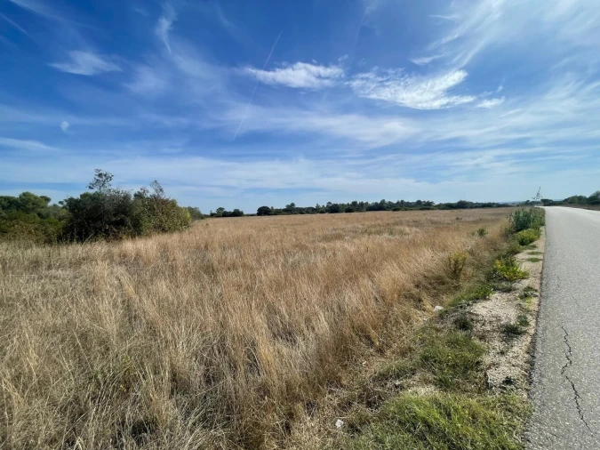 Terreno para Venda em Brogueira, Parceiros de Igreja e Alcorochel Foto 2