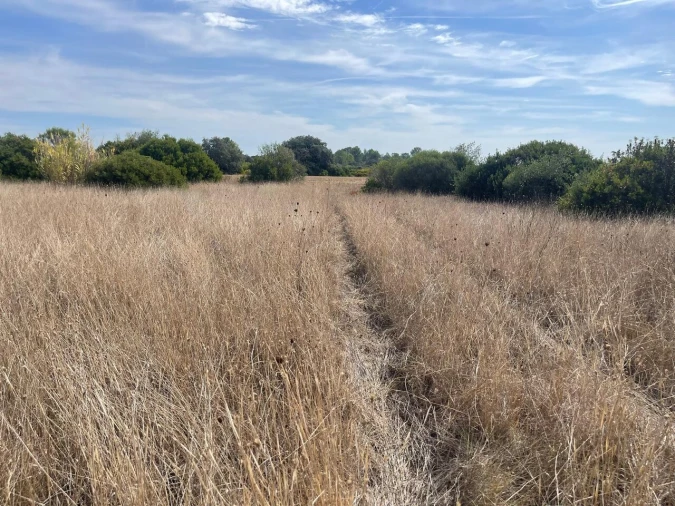 Terreno para Venda em Brogueira, Parceiros de Igreja e Alcorochel Foto 12