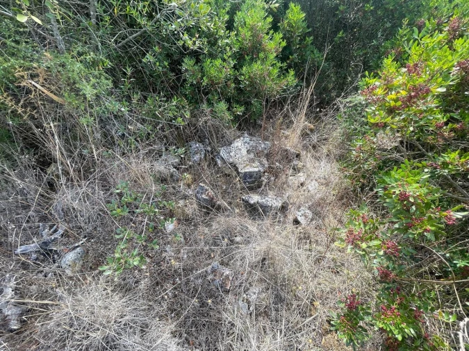 Terreno para Venda em Brogueira, Parceiros de Igreja e Alcorochel Foto 18