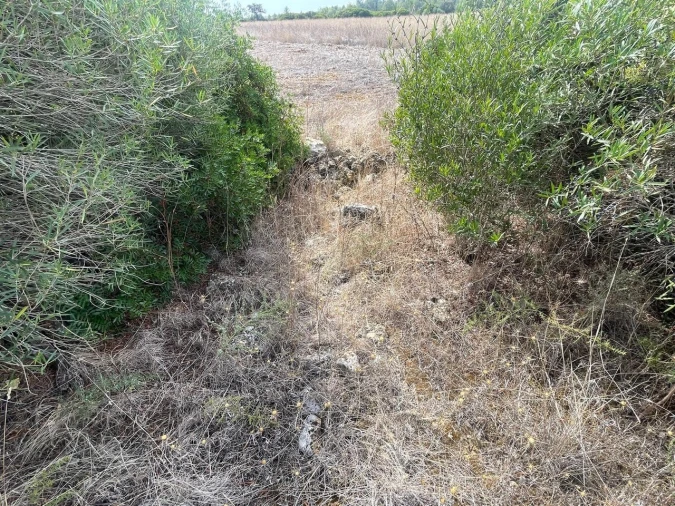 Terreno para Venda em Brogueira, Parceiros de Igreja e Alcorochel Foto 20
