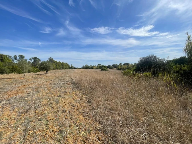 Terreno para Venda em Brogueira, Parceiros de Igreja e Alcorochel Foto 22