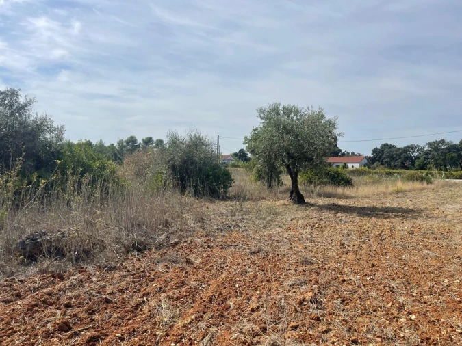 Terreno para Venda em Brogueira, Parceiros de Igreja e Alcorochel Foto 26