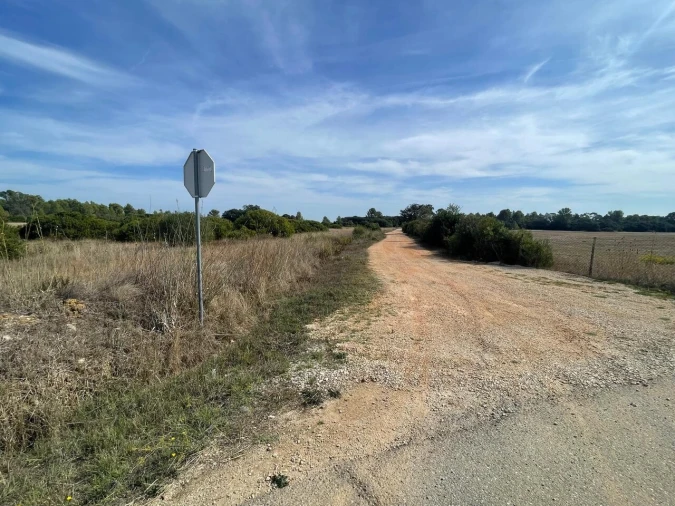 Terreno para Venda em Brogueira, Parceiros de Igreja e Alcorochel Foto 34