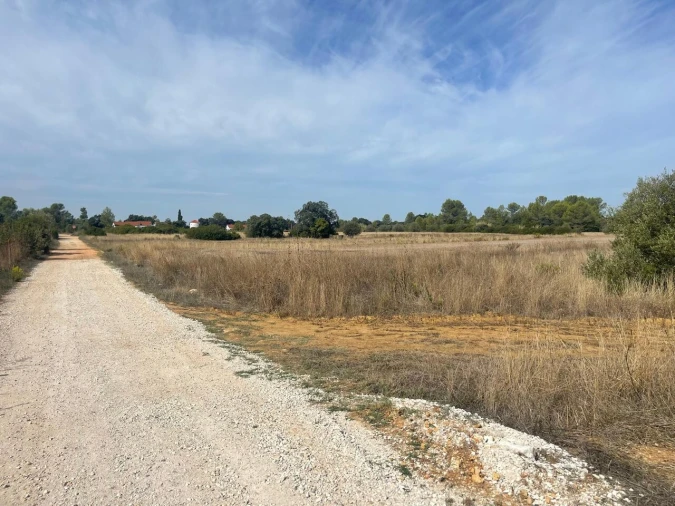 Terreno para Venda em Brogueira, Parceiros de Igreja e Alcorochel Foto 35