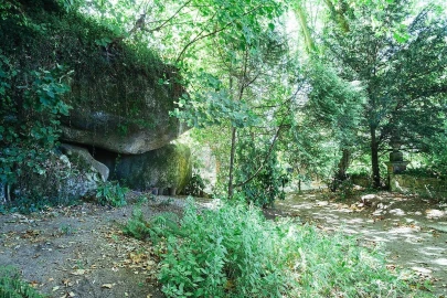 Moradia T13 para Venda em Santa Maria e São Miguel, São Martinho, São Pedro Penaferrim