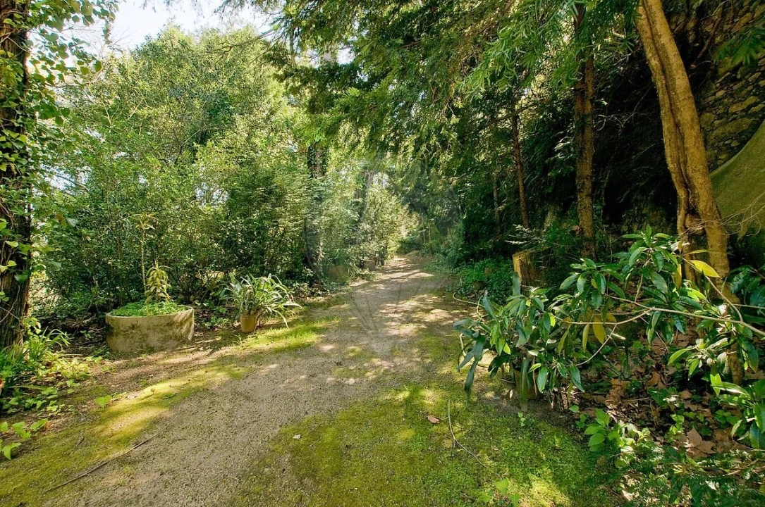 Moradia T13 para Venda em Santa Maria e São Miguel, São Martinho, São Pedro Penaferrim Foto 38