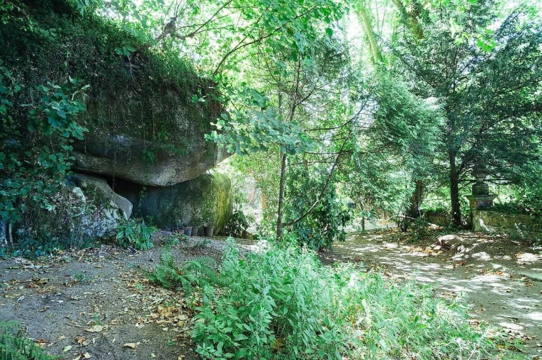 Moradia T13 para Venda em Santa Maria e São Miguel, São Martinho, São Pedro Penaferrim Foto 40