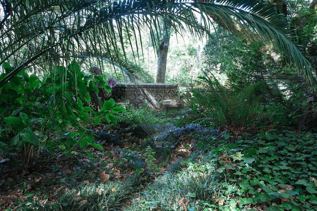 Moradia T13 para Venda em Santa Maria e São Miguel, São Martinho, São Pedro Penaferrim Foto 41