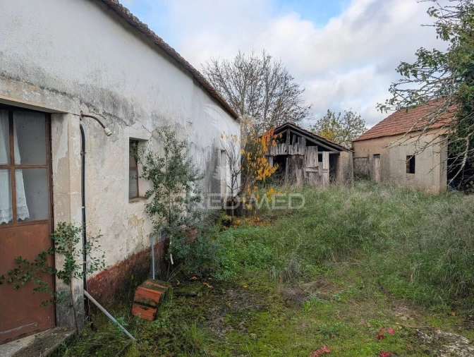 Moradia T3 para Venda em Brogueira, Parceiros de Igreja e Alcorochel Foto 9
