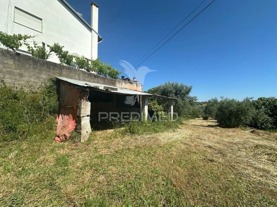 Quinta T3 para Venda em Madalena e Beselga Foto 38