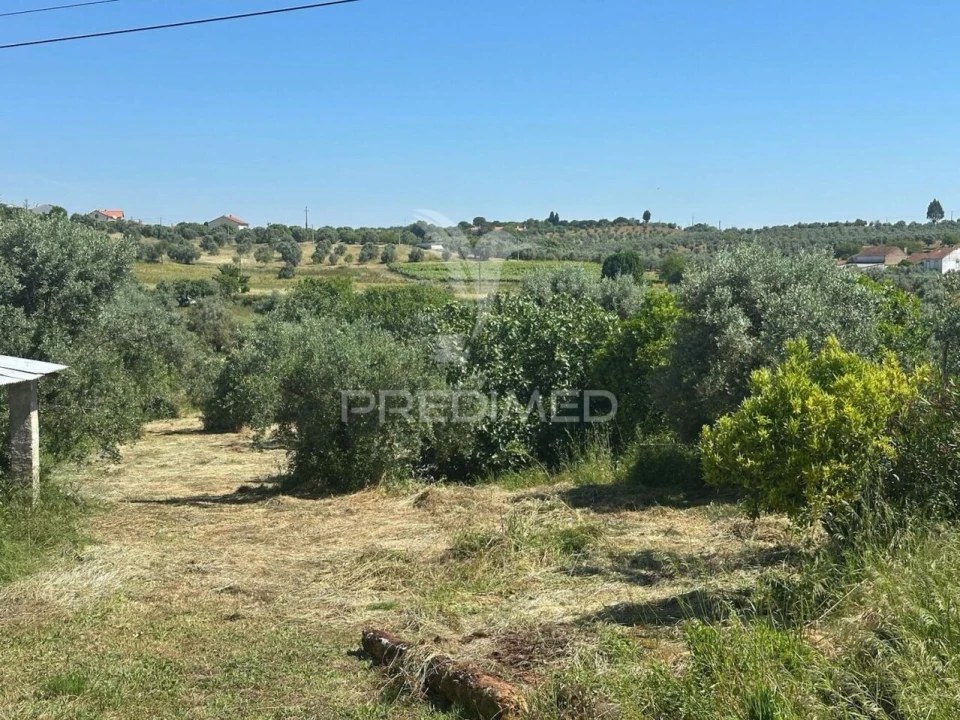 Quinta T3 para Venda em Madalena e Beselga Foto 39