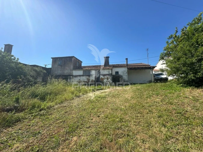 Quinta T3 para Venda em Madalena e Beselga Foto 40