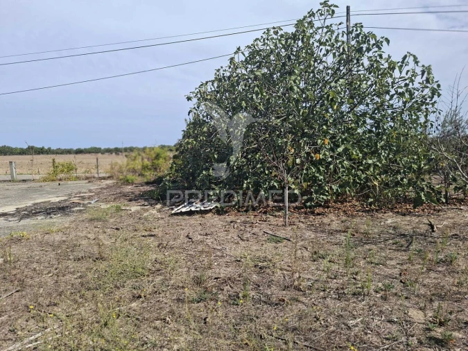 Terreno para Venda em Foros de Arrão Foto 13