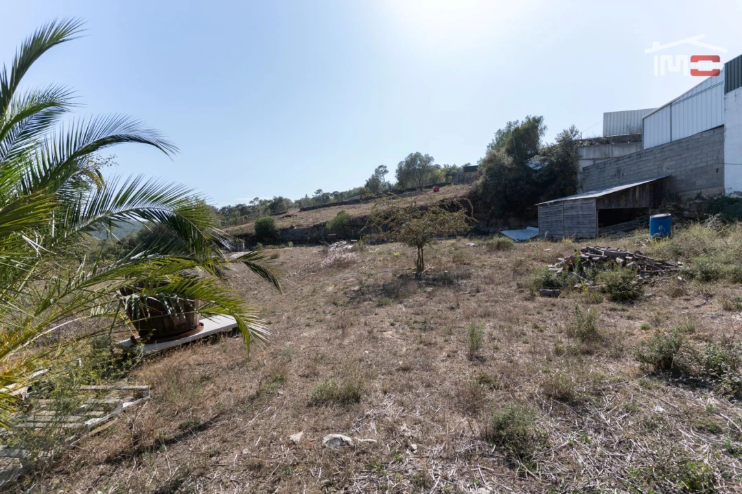 Terreno Agricola ou Rústico para Venda em Atouguia Foto 4