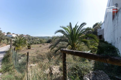 Terreno Agricola ou Rústico para Venda em Atouguia