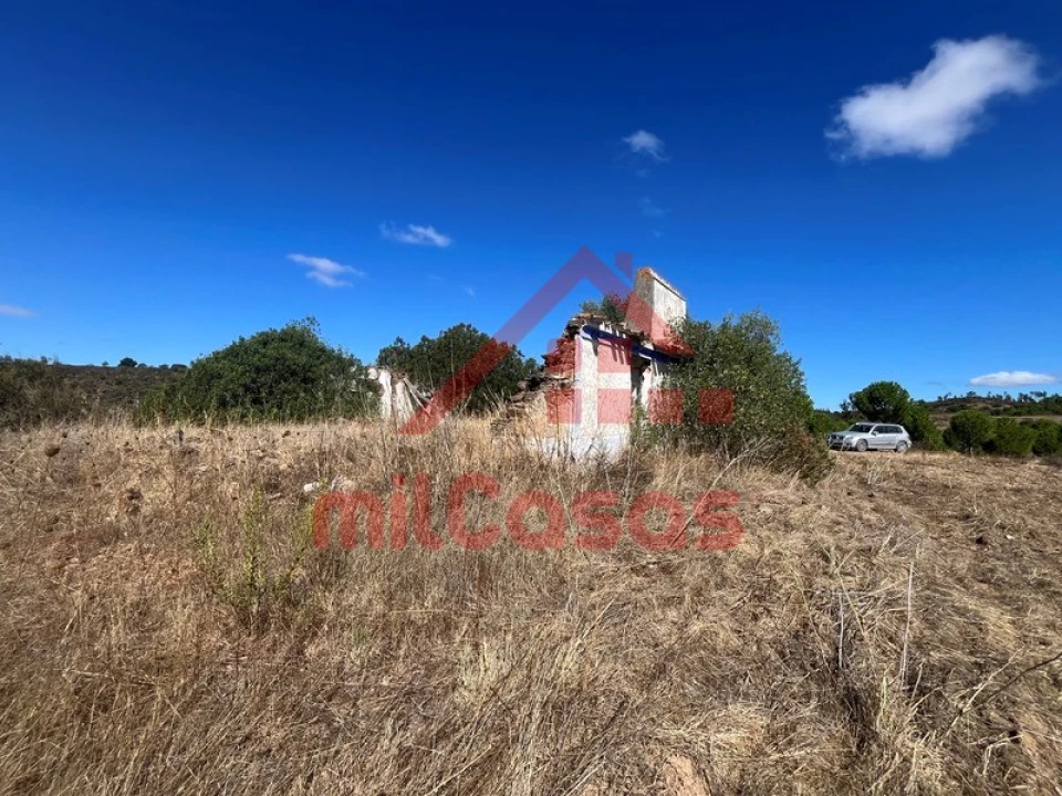 Quinta para Venda em Alcórrego e Maranhão Foto 3