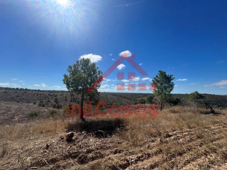Quinta para Venda em Alcórrego e Maranhão Foto 9