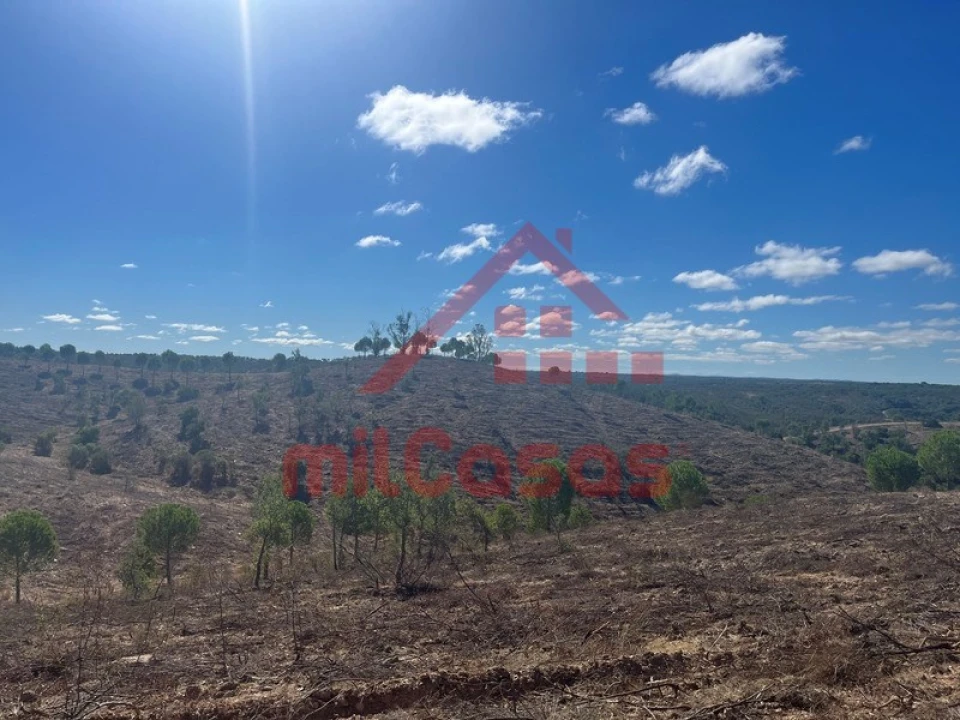 Quinta para Venda em Alcórrego e Maranhão Foto 13