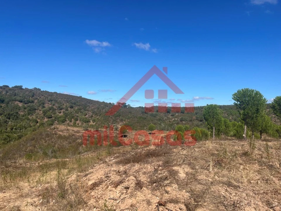 Quinta para Venda em Alcórrego e Maranhão Foto 16