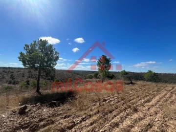 Quinta para Venda em Alcórrego e Maranhão