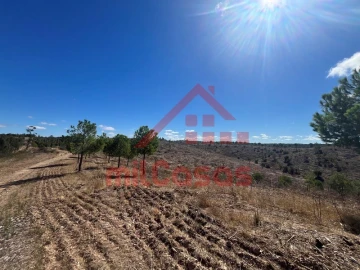 Quinta para Venda em Alcórrego e Maranhão