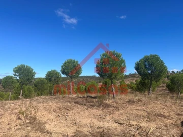 Quinta para Venda em Alcórrego e Maranhão