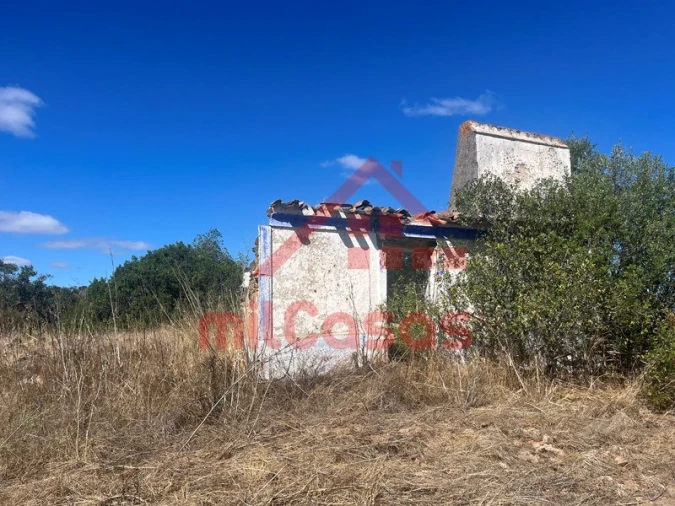 Quinta para Venda em Alcórrego e Maranhão Foto 4