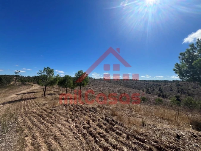 Quinta para Venda em Alcórrego e Maranhão Foto 7