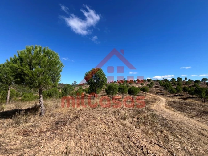 Quinta para Venda em Alcórrego e Maranhão Foto 19