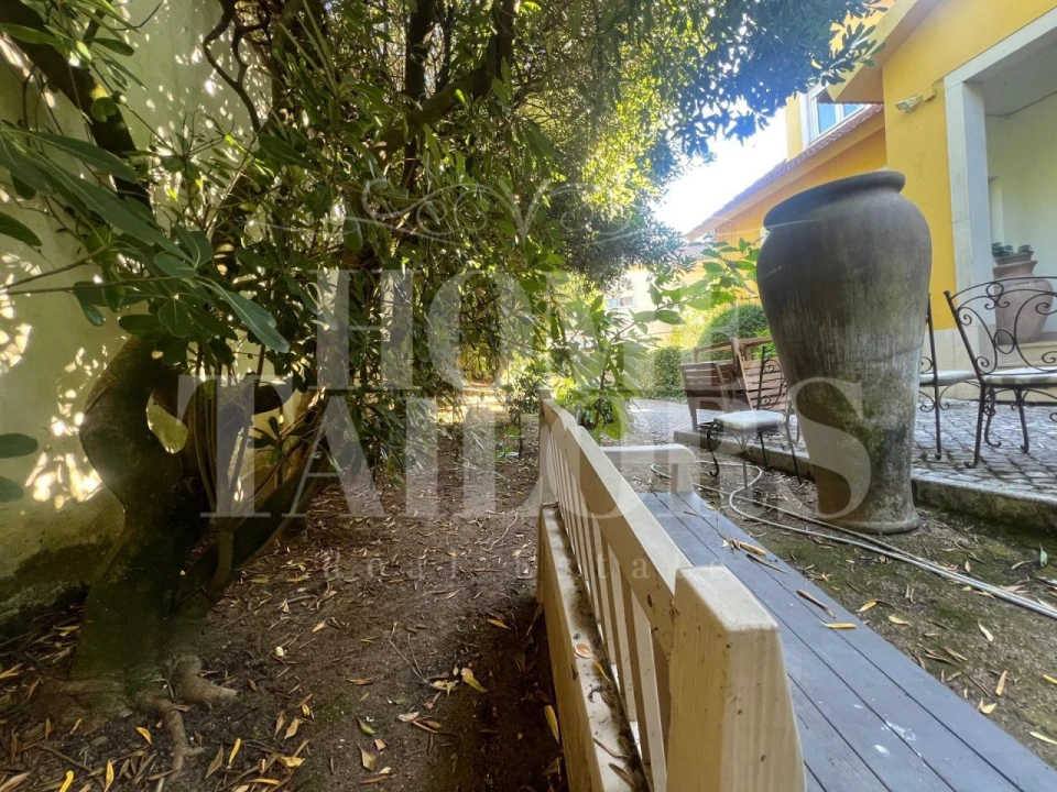 Apartamento T2 para Arrendamento em Santa Maria e São Miguel, São Martinho, São Pedro Penaferrim Foto 2