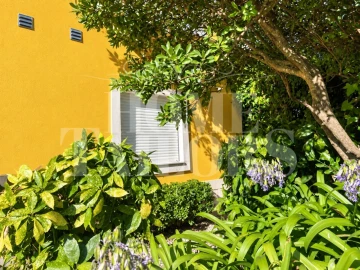 Apartamento T2 para Arrendamento em Santa Maria e São Miguel, São Martinho, São Pedro Penaferrim