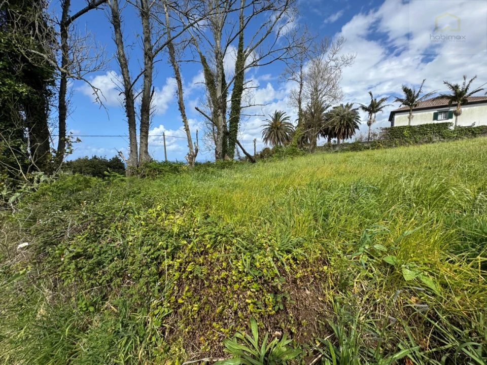 Terreno para Venda em São Vicente Ferreira Foto 2