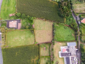 Terreno para Venda em São Vicente Ferreira