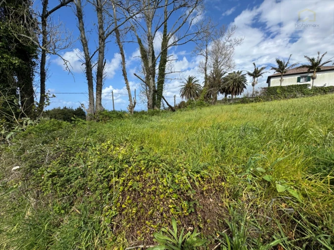 Terreno para Venda em São Vicente Ferreira Foto 2