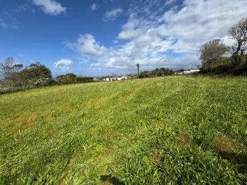 Terreno para Venda em São Vicente Ferreira