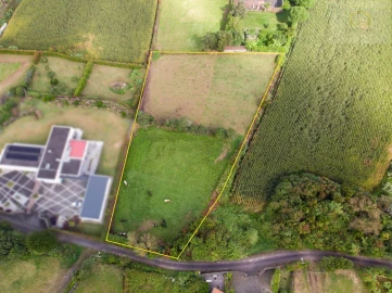 Terreno para Venda em São Vicente Ferreira