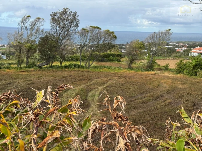 Terreno para Venda em São Vicente Ferreira Foto 10