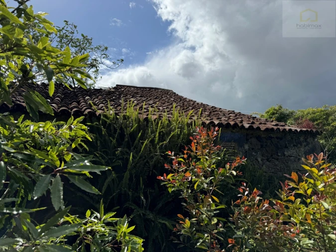 Moradia T2 para Venda em São Vicente Ferreira Foto 7