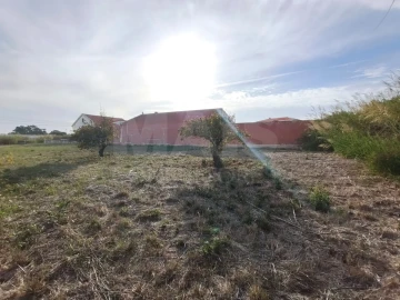 Terreno para Venda em Tornada e Salir do Porto
