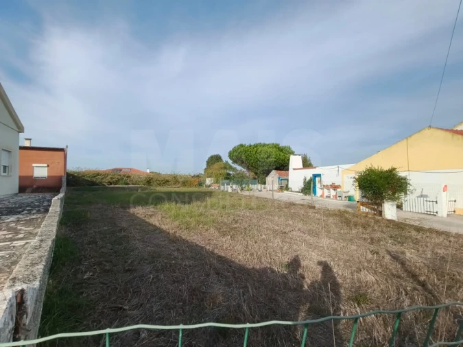 Terreno para Venda em Tornada e Salir do Porto Foto 5